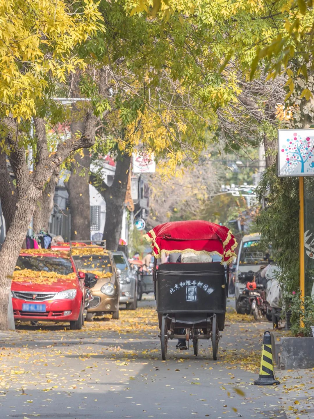 一入秋北京就变成了北平原文,一入秋北京就成了北平是谁说的