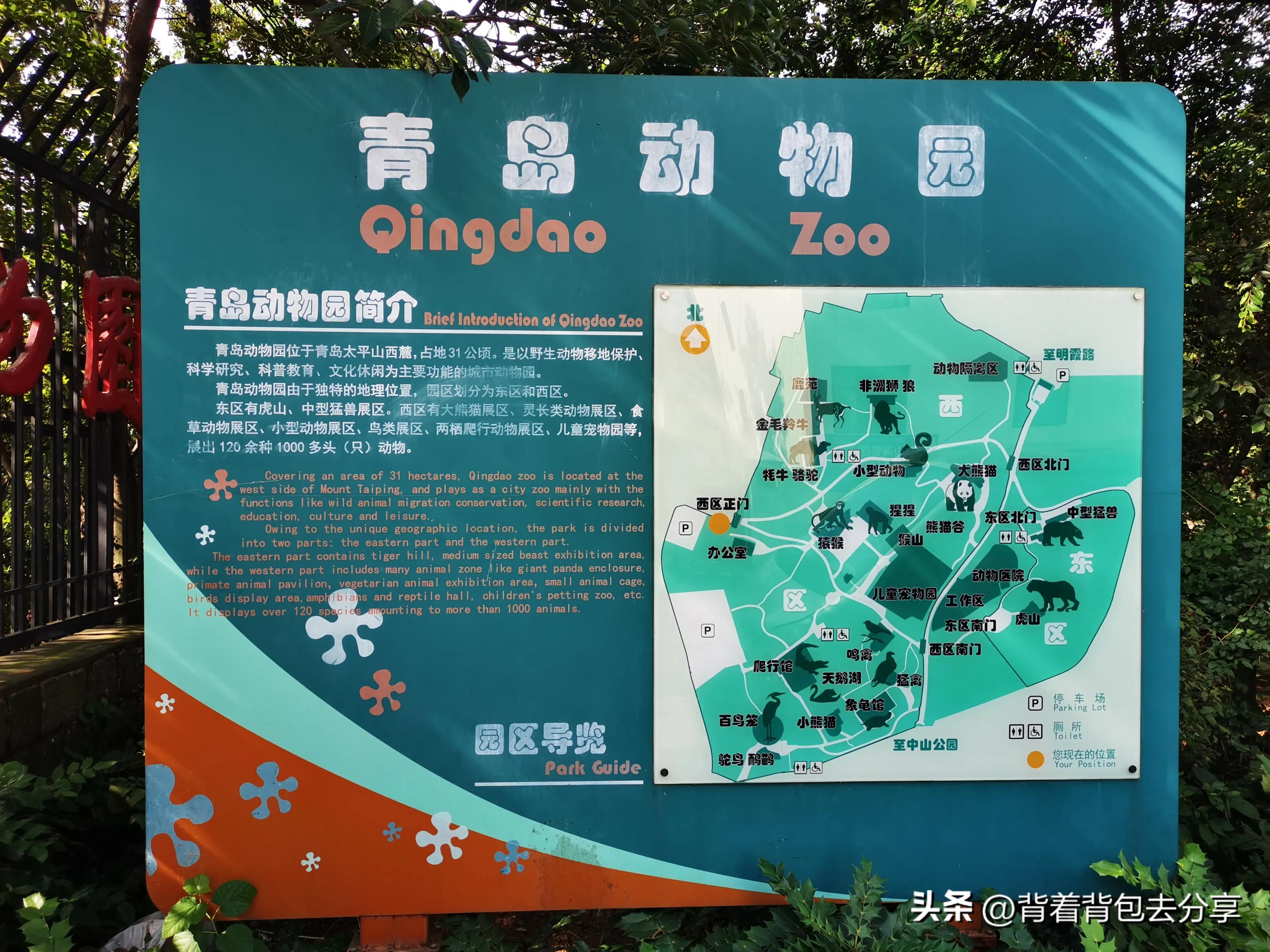 青岛旅游三天自由行攻略最新篇章,青岛最实用的旅游攻略