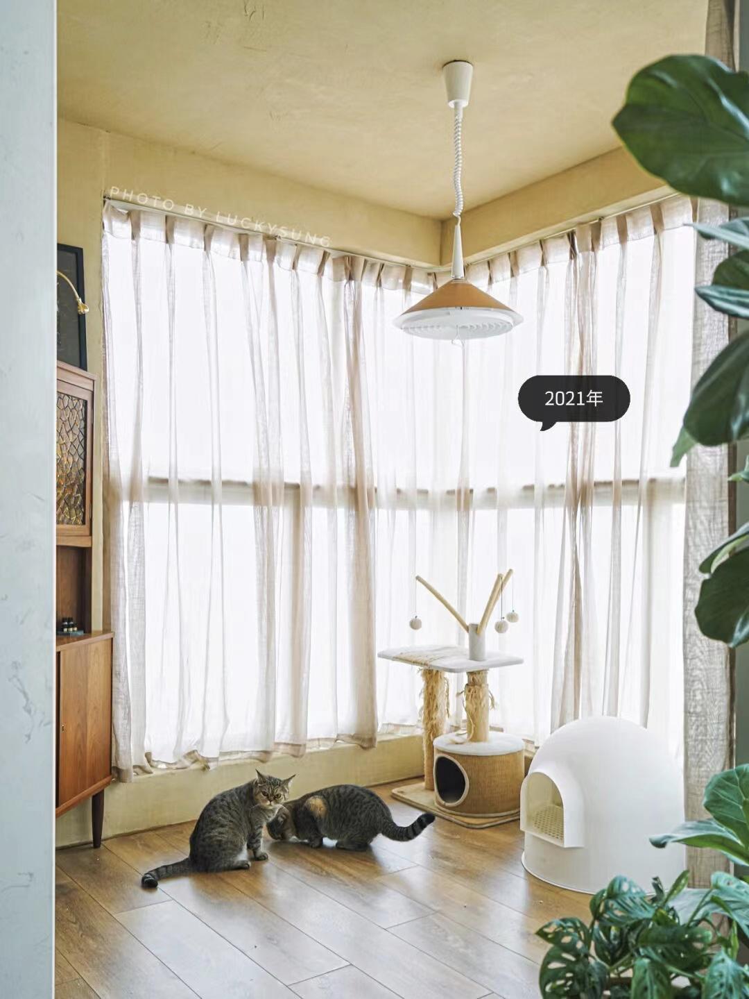 她丁克7年，75㎡的房子越住越大：不完美、不合理，但我喜欢