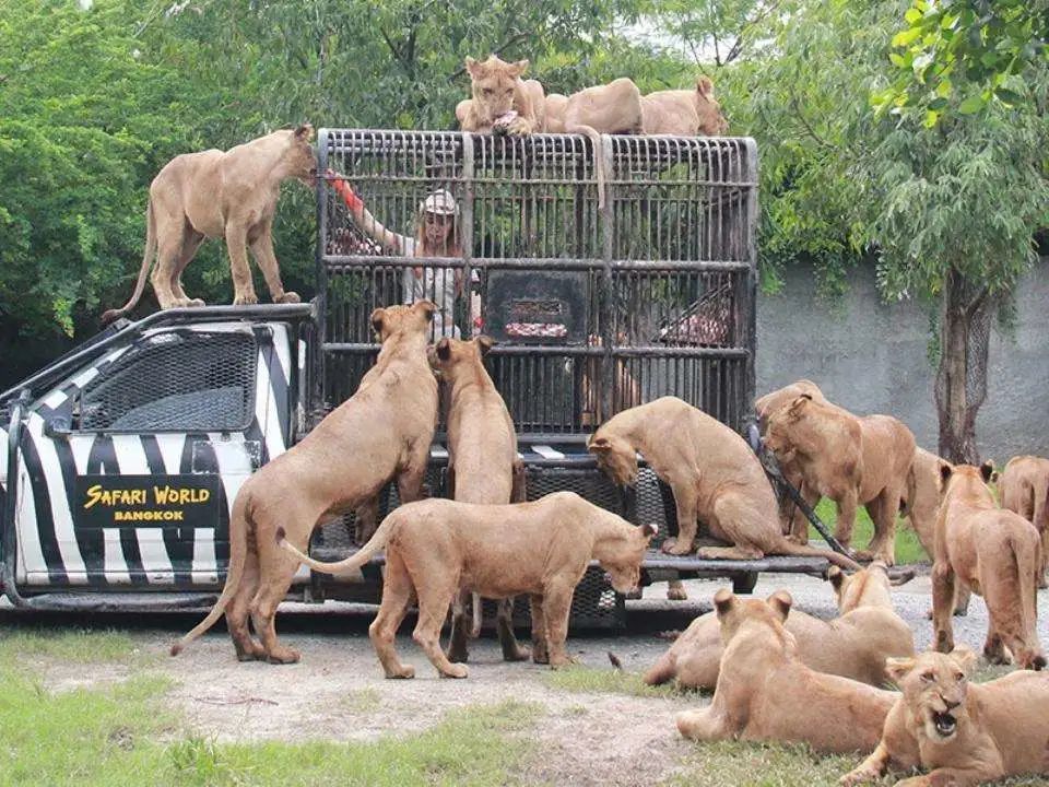 五一3-5天短途旅游推荐报团,五一3-5天短途旅游推荐一个人