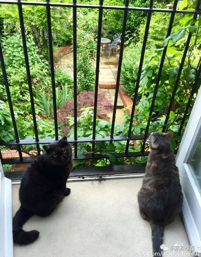 曾火遍中国的混血儿又回来了，浓颜系第一帅哥这些年都去哪儿了？