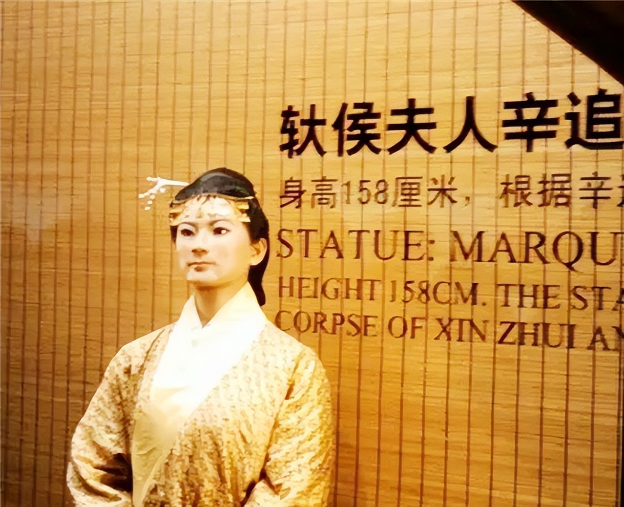 日本当年用什么换辛追夫人头发,日本索要辛追的头发