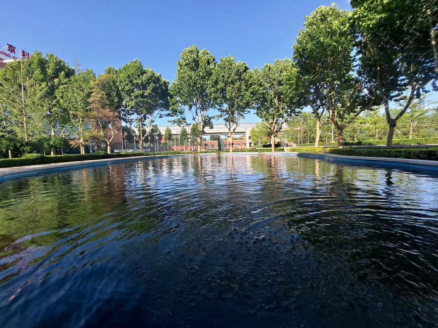 北大青鸟都有什么专业好就业,北大青鸟培训出来好就业吗