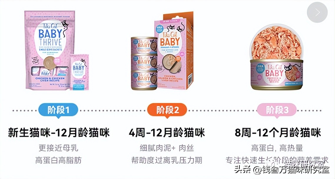 流浪猫幼猫主食罐推荐,幼猫主食罐推荐