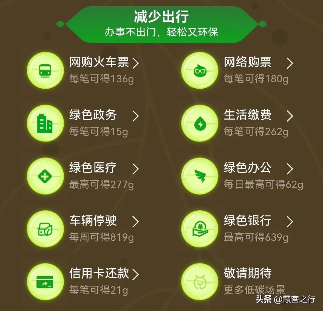 蚂蚁森林能查看访问记录吗,蚂蚁森林的消息记录