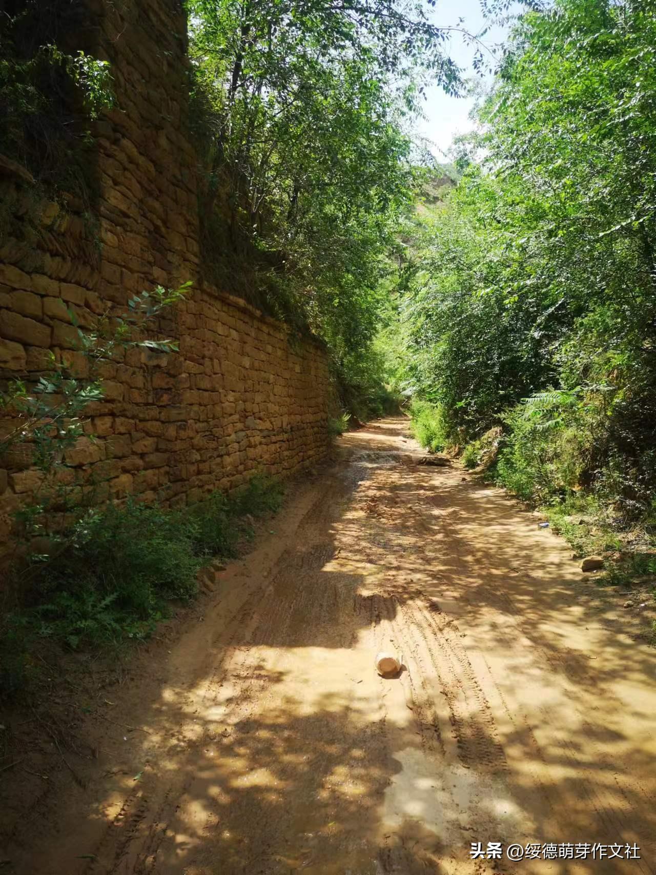 绥德李强国：从高舍硷到高石角