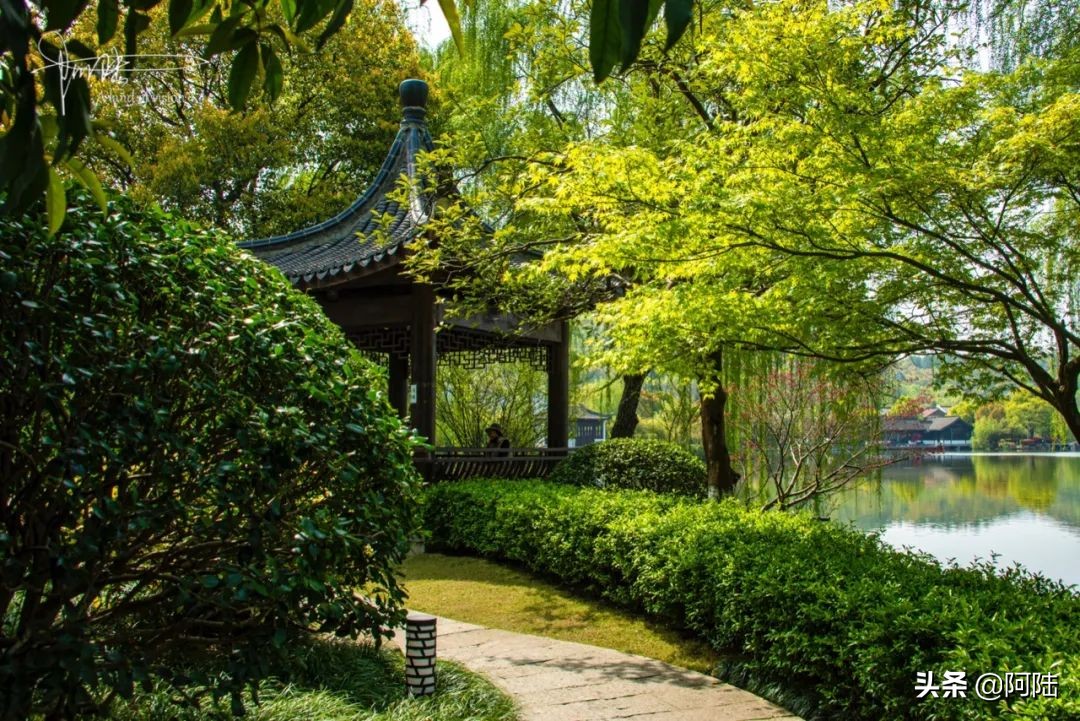 杭州城南有个鲜为人知的水景公园,杭州景点平湖秋月