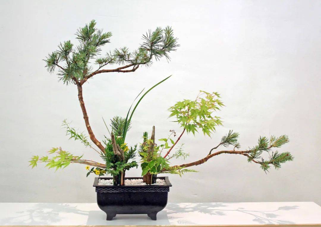 日式插花技法,日式插花的特色及技巧