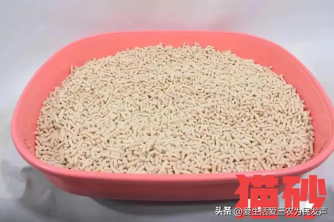 冷门的赚钱项目快速致富,想赚钱的朋友看过来