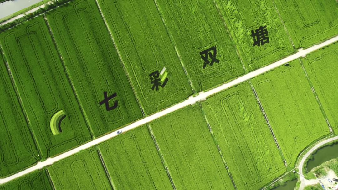 上海市首批市级旅游重点村,上海第四批全国乡村旅游重点村