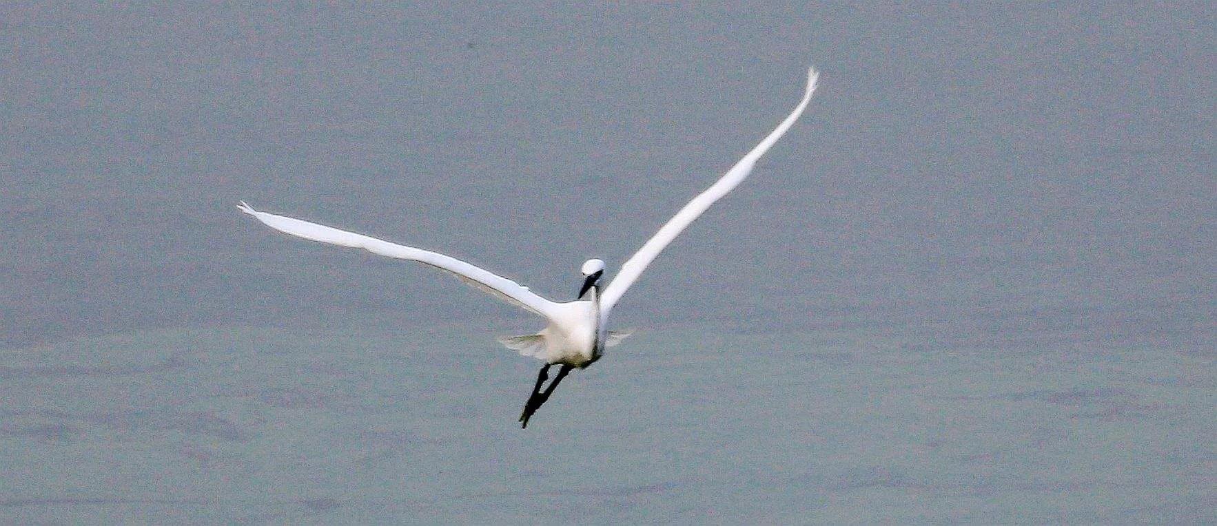 老师给我打电话谈论孩子的问题,老师来电的反应