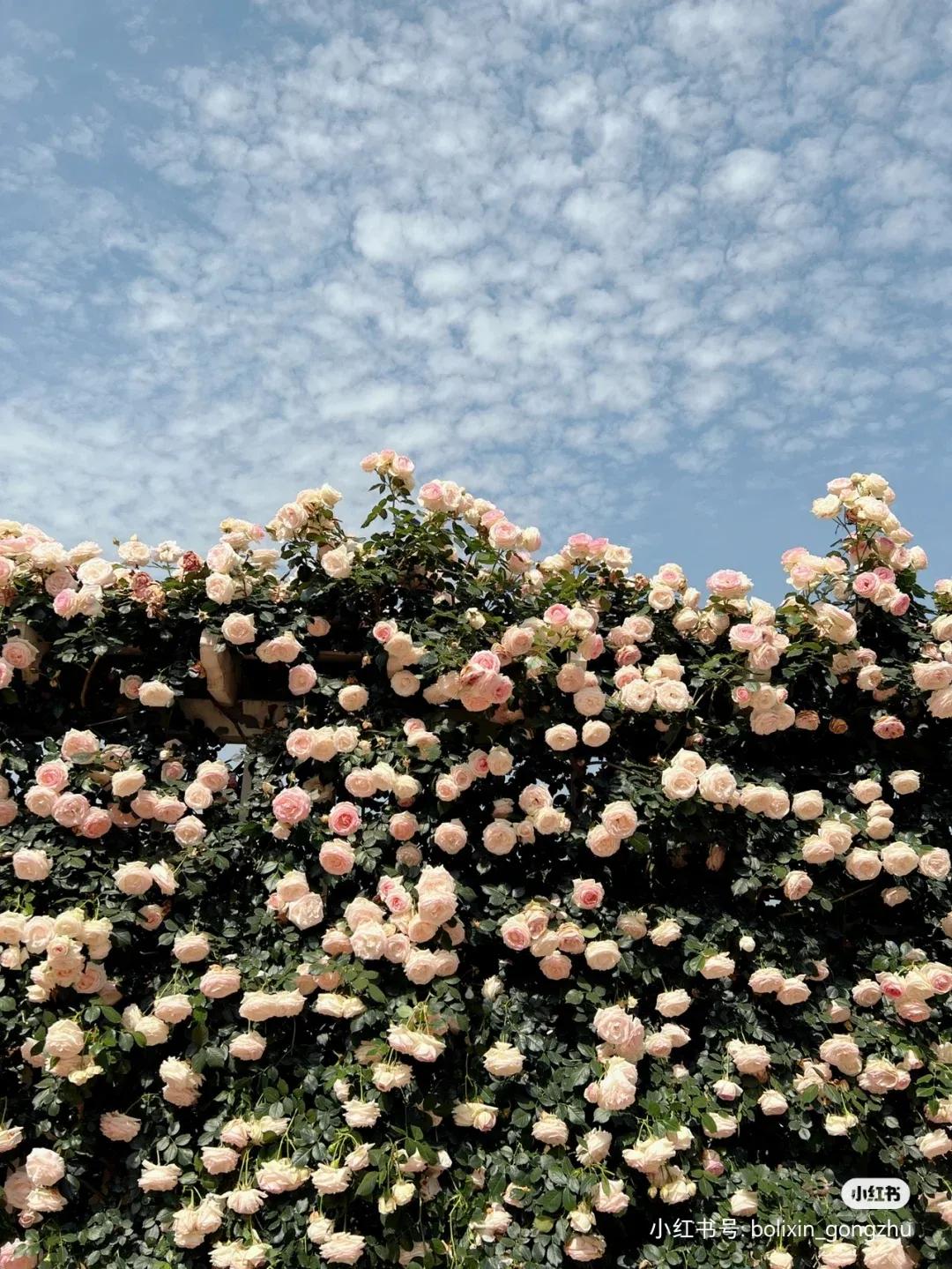 初中毕业有哪些选择,初中毕业有哪些技校能上口腔医学专业