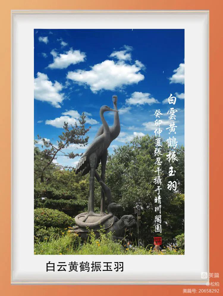 诗图战友情（九十）黄鹤楼抒怀