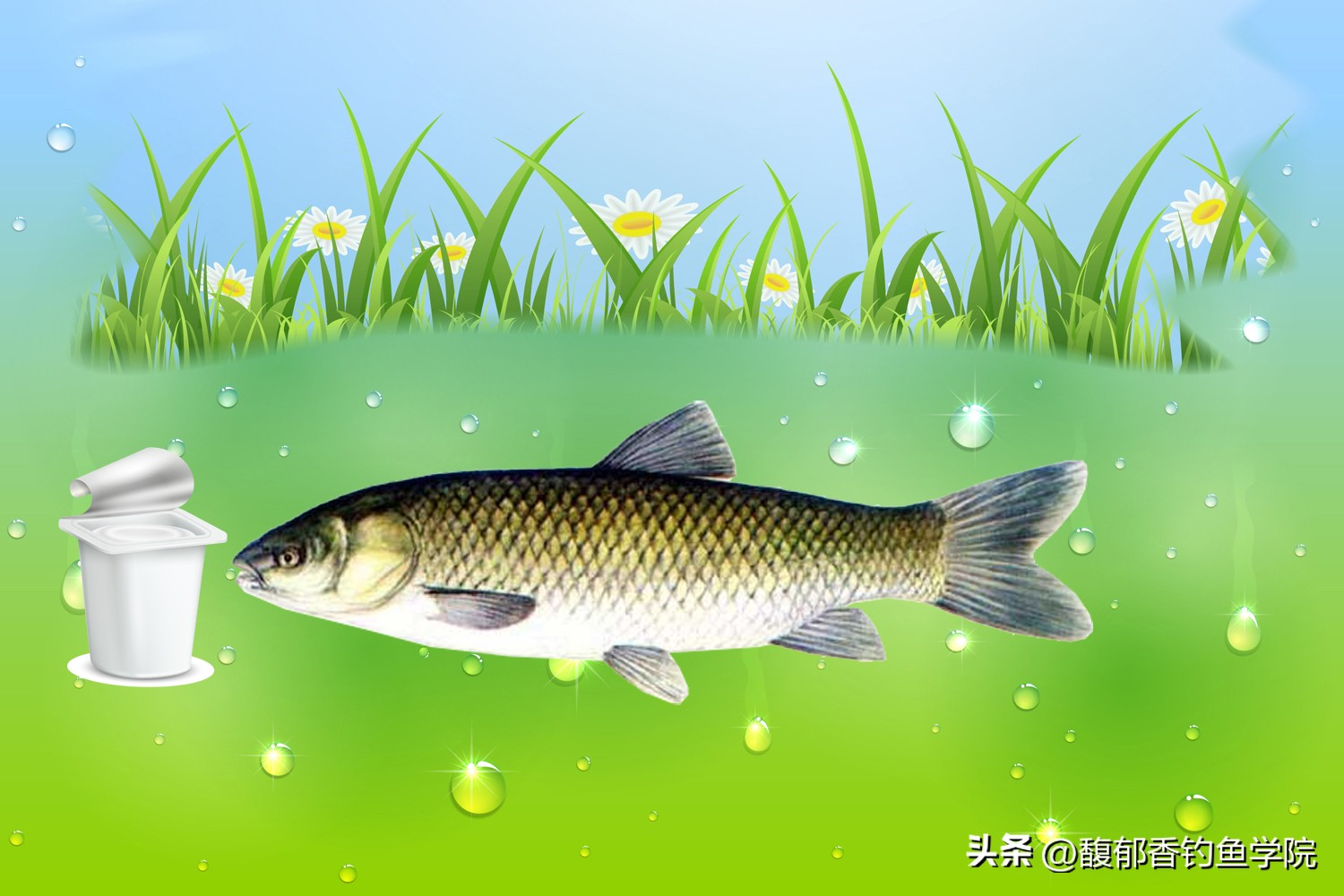 春季钓草鱼怎么打窝效果好,春季钓草鱼绝密技巧