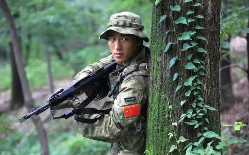 亲爱的生命播出安排,亲爱的生命开播发布会