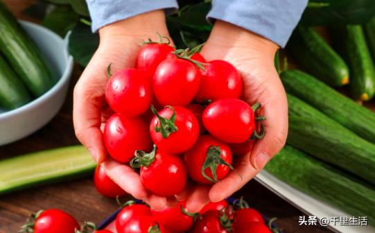 海南千禧樱桃圣女果,新鲜樱桃圣女果