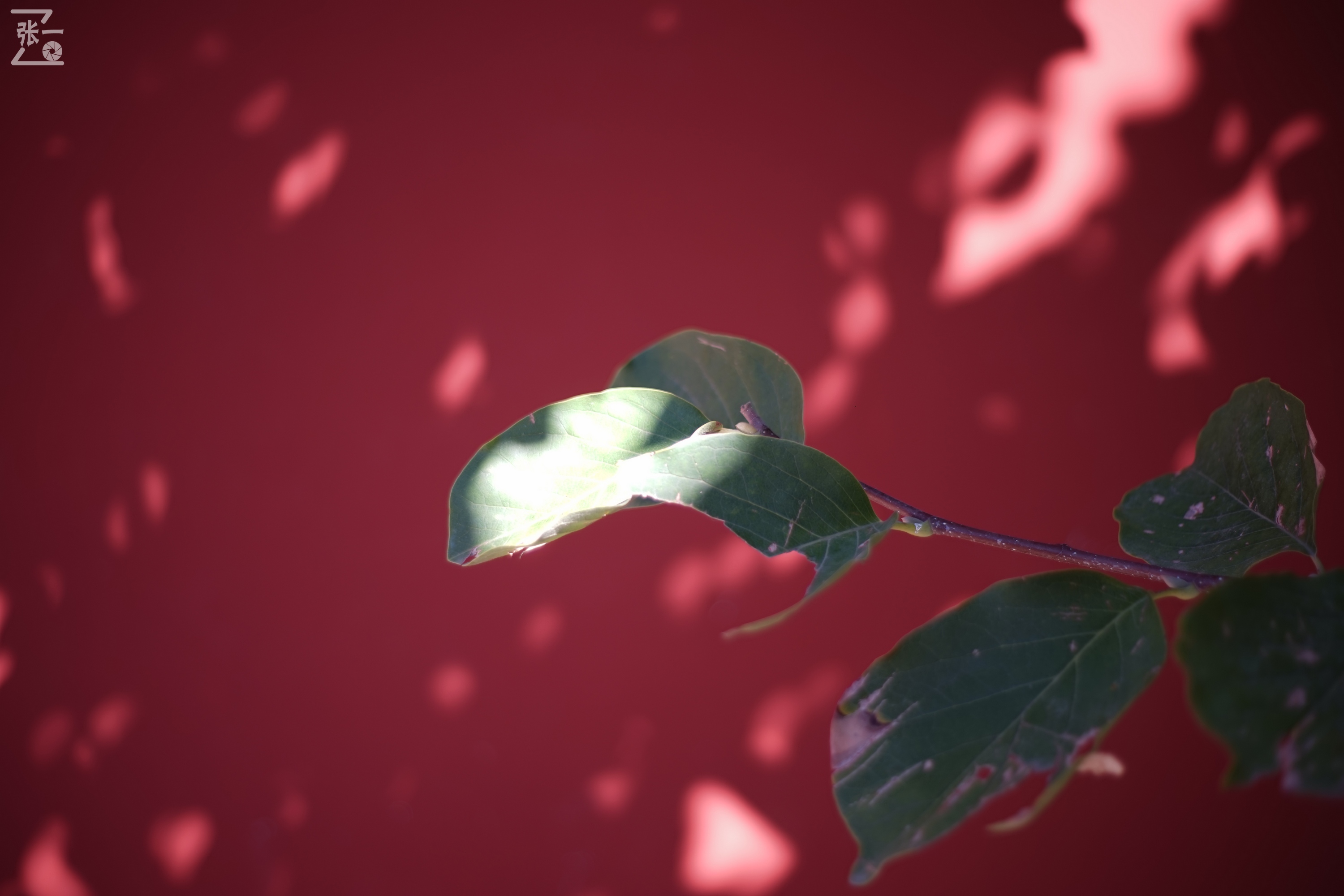 老镜头实拍,老镜头拍北京