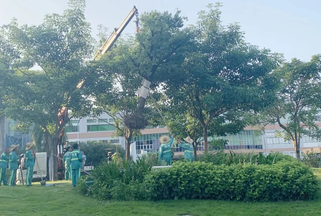 绿清清洁有限公司,绿清环保科技有限公司