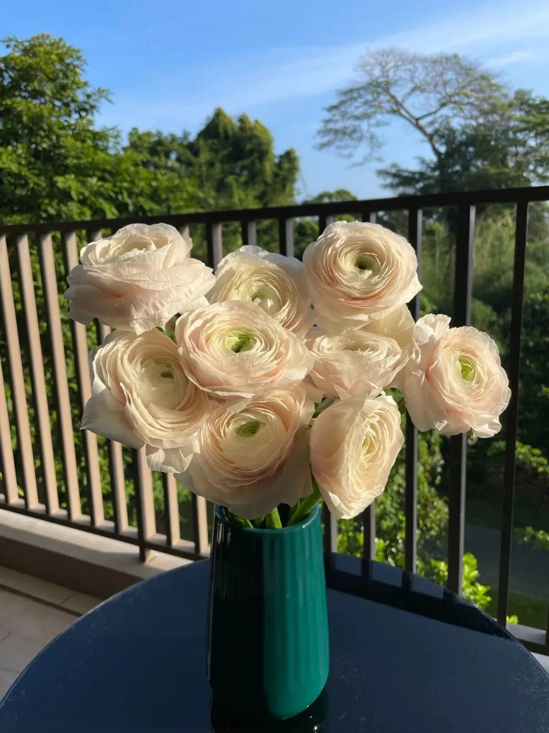 鲜花在水里能养几天会死,新加坡盆栽花卉怎么养