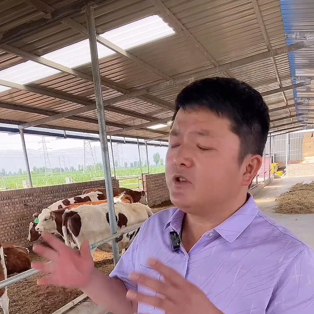 新手养殖基础知识大全,养殖新手入行注意事项