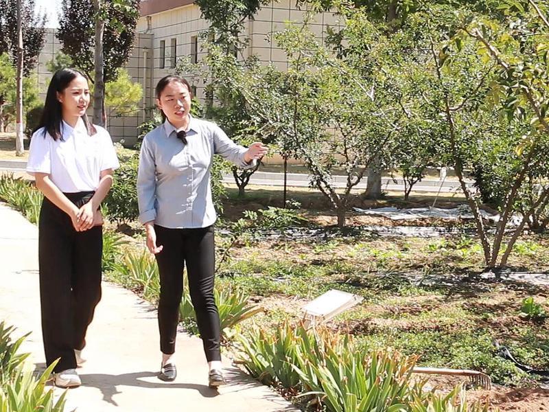 三上太空,陕西韩城太空花椒有限公司