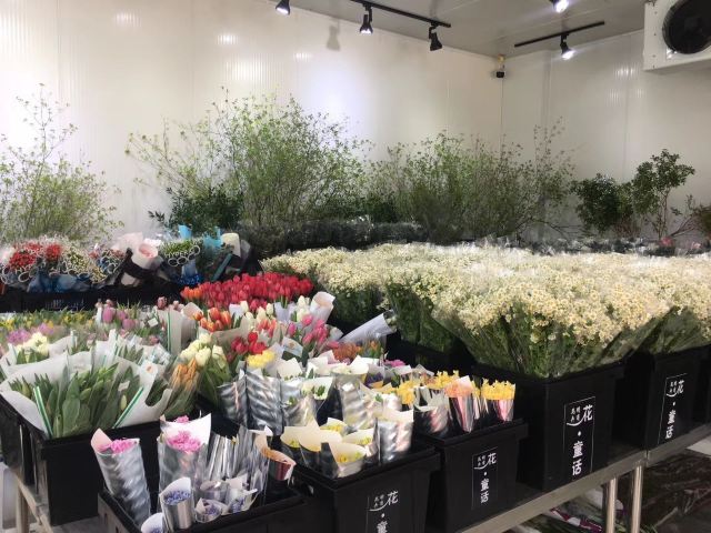 云南旅游攻略昆明旅游攻略,云南昆明旅游攻略