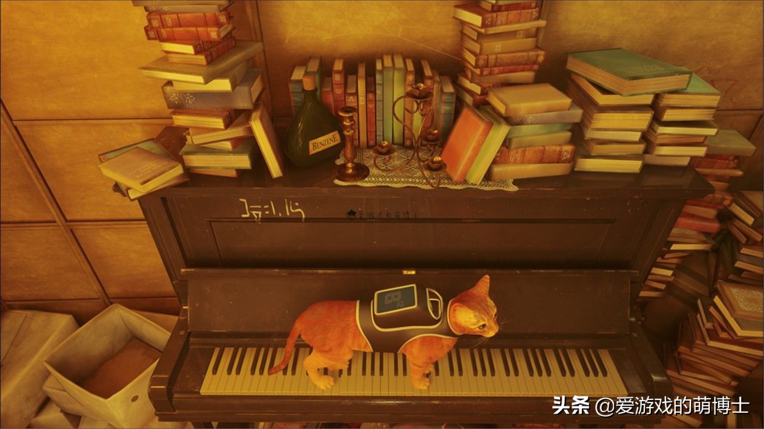 stray在steam多少钱,stray低配游戏推荐