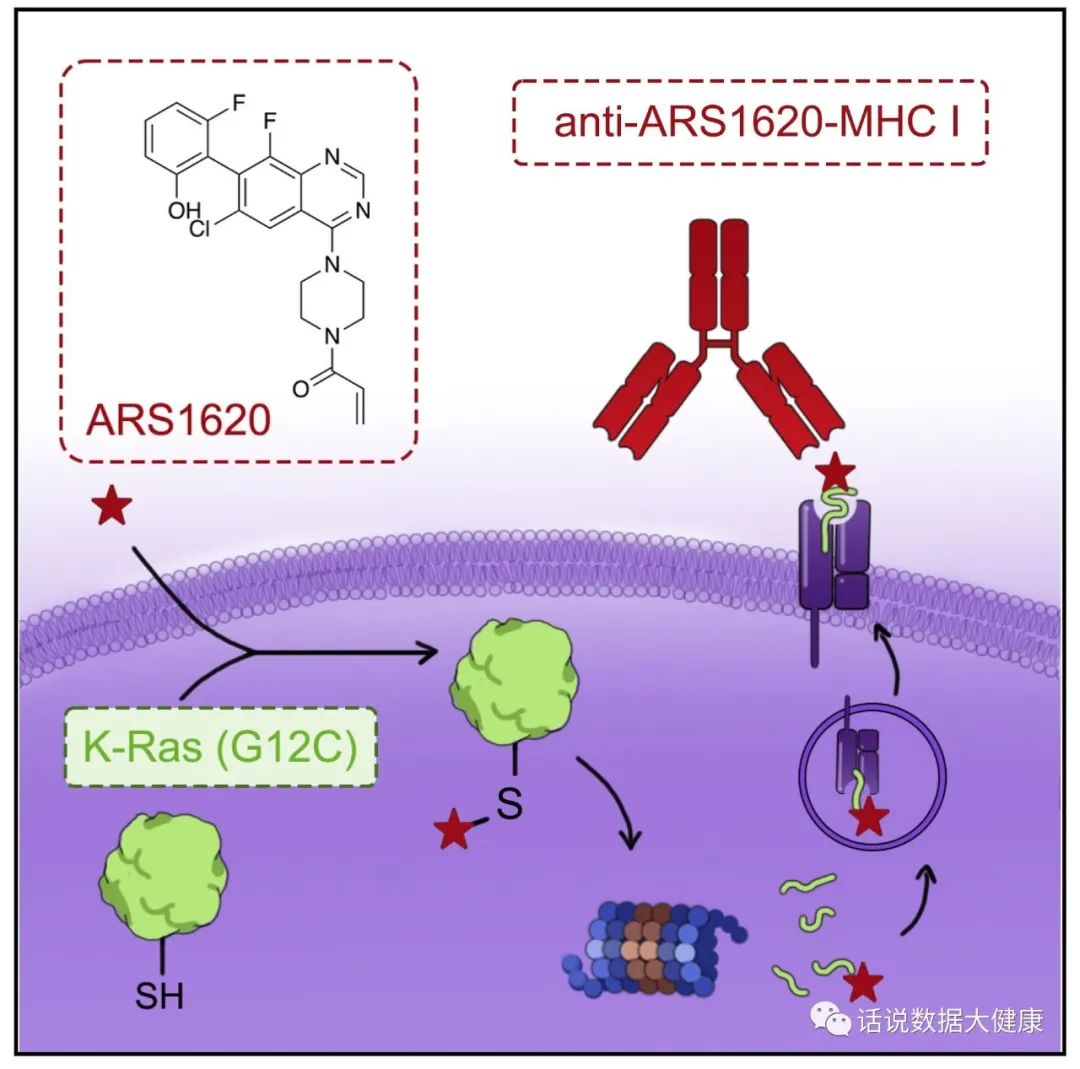 特效药杀死癌细胞的全过程,杀死癌细胞的最新药物