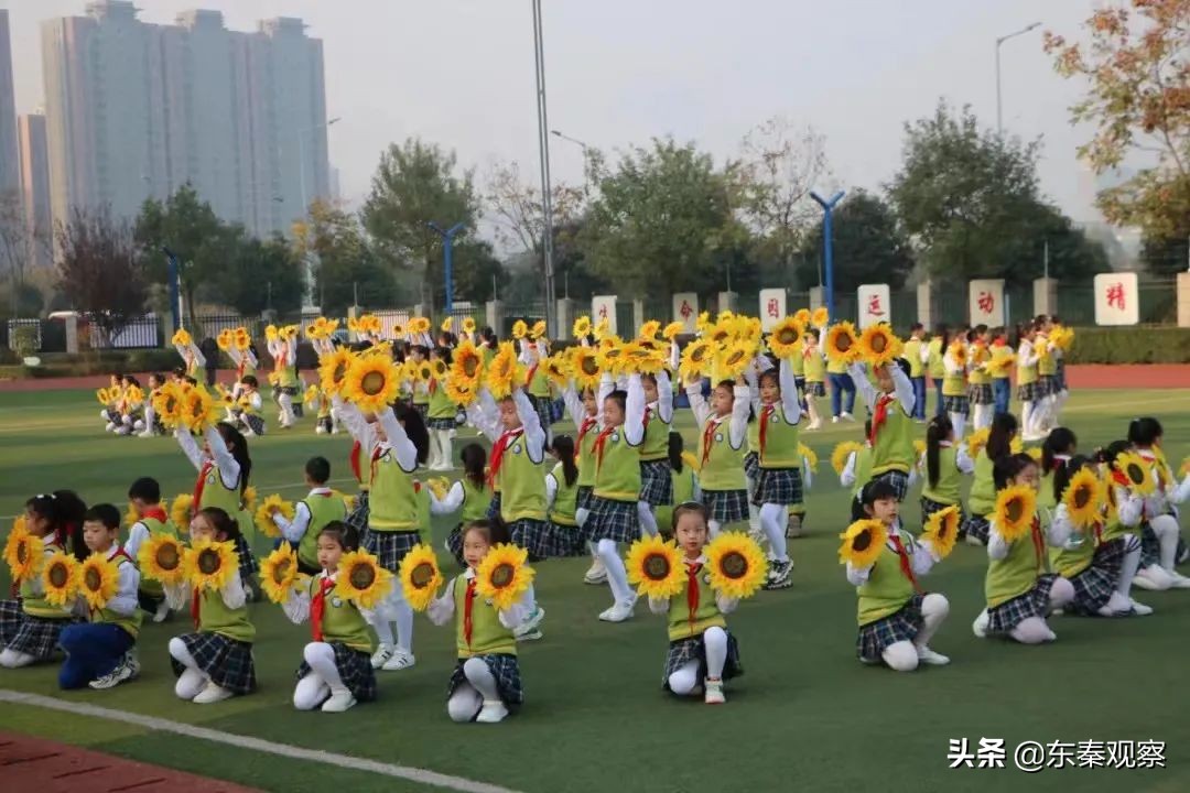 临渭区素质教育工作综述,临渭区学校名单