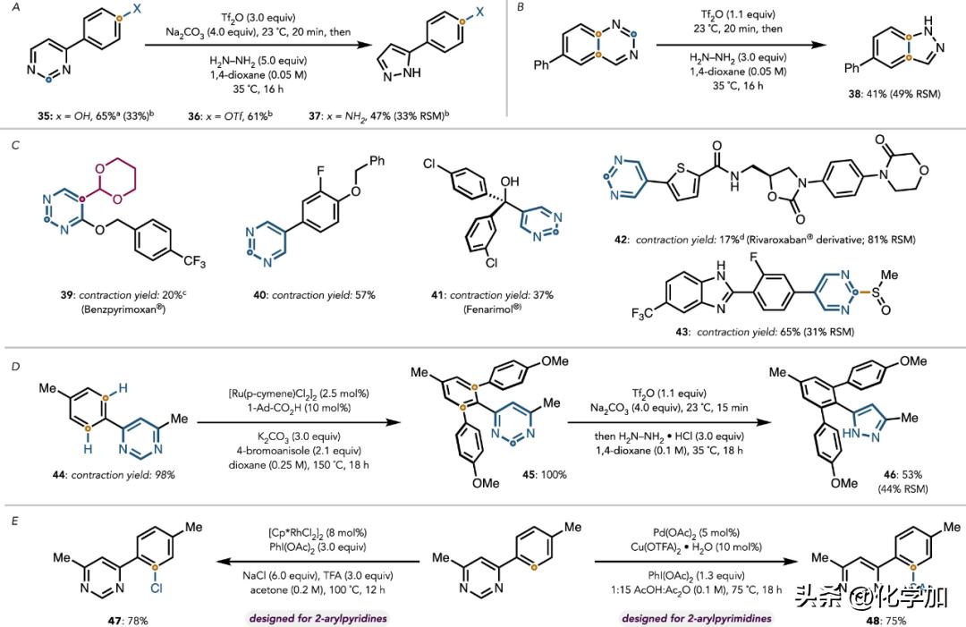 JACS：分子骨架编辑——剔除碳原子，嘧啶变吡唑