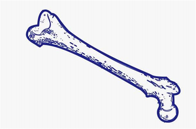 骨头对于人体来说是非常重要的,如果人体没有骨头会怎么样