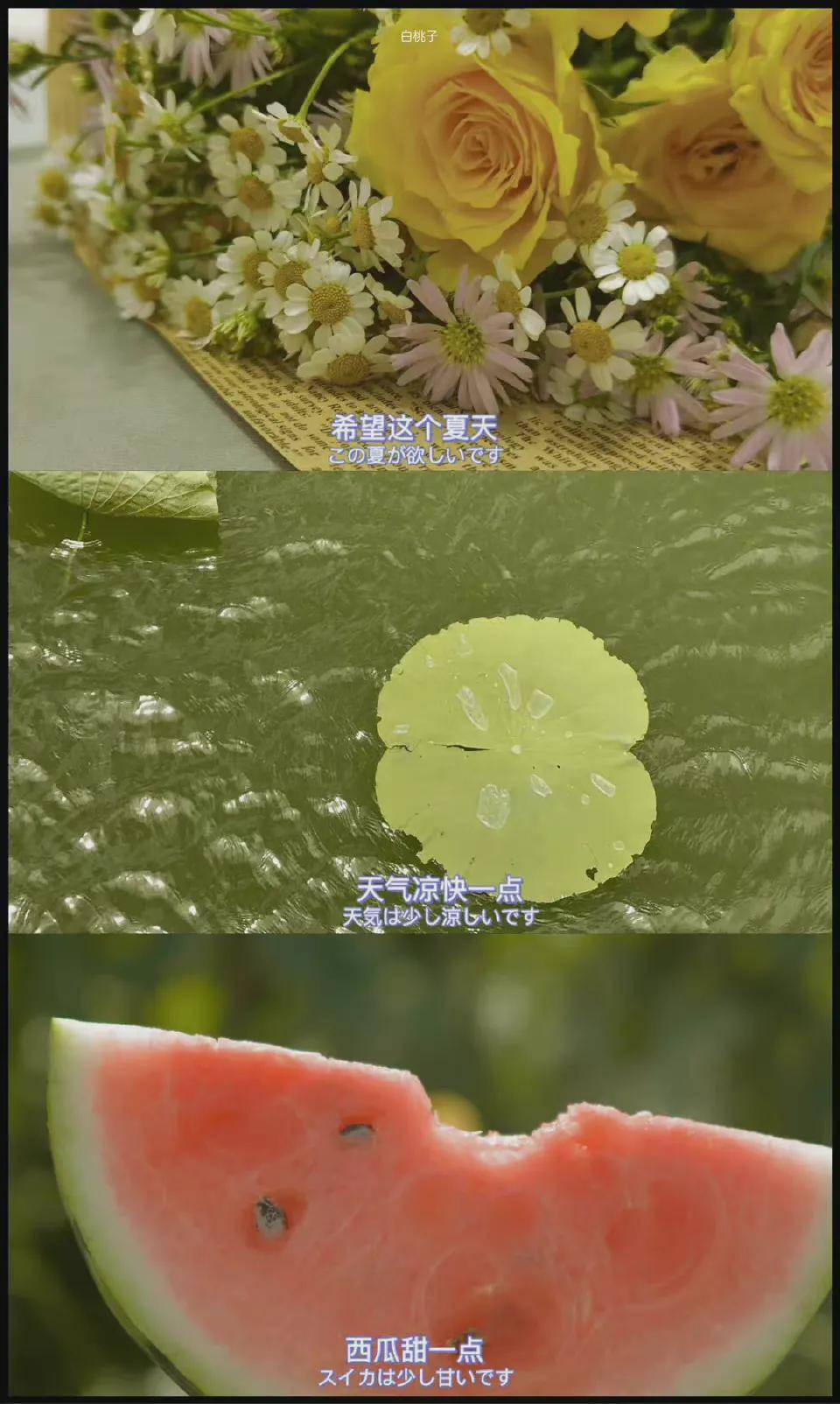 夏天风景壁纸高清全面屏,夏天图片唯美风景壁纸