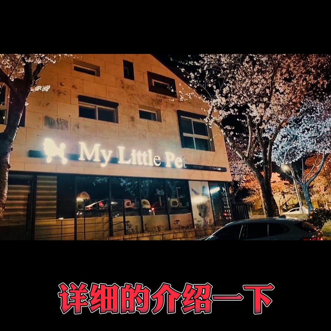 韩国济州岛真的可以免签吗?需要哪些准备