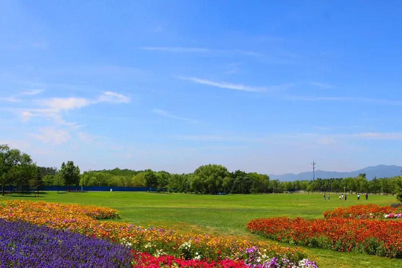 海淀公园相亲小程序,海淀公园相亲角