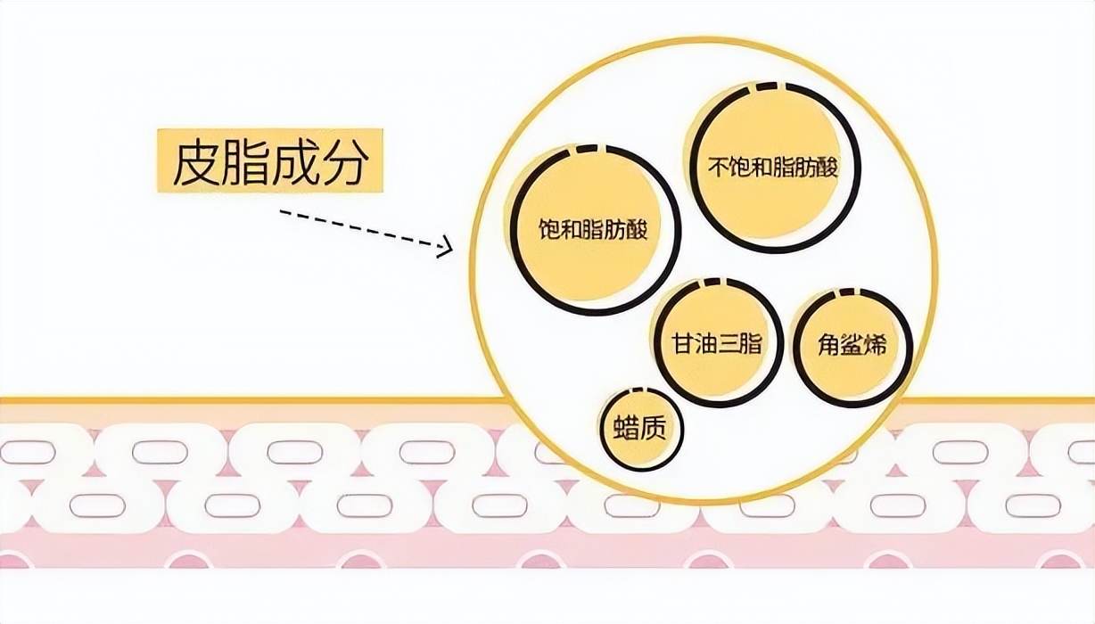 修复皮肤屏障角鲨烷推荐油皮,角鲨烷护肤界的万金油