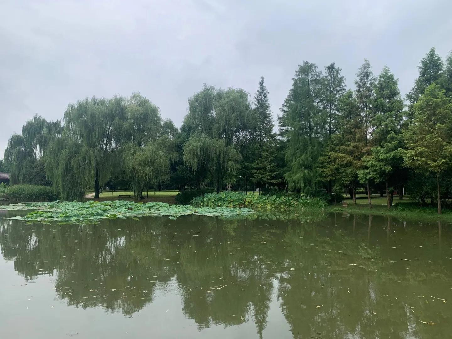 我眼中的湖南画,我眼中的湖南作文