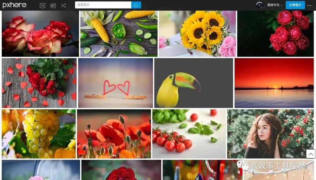 十大实用宝藏网站,冷门宝藏网站个个都值得收藏