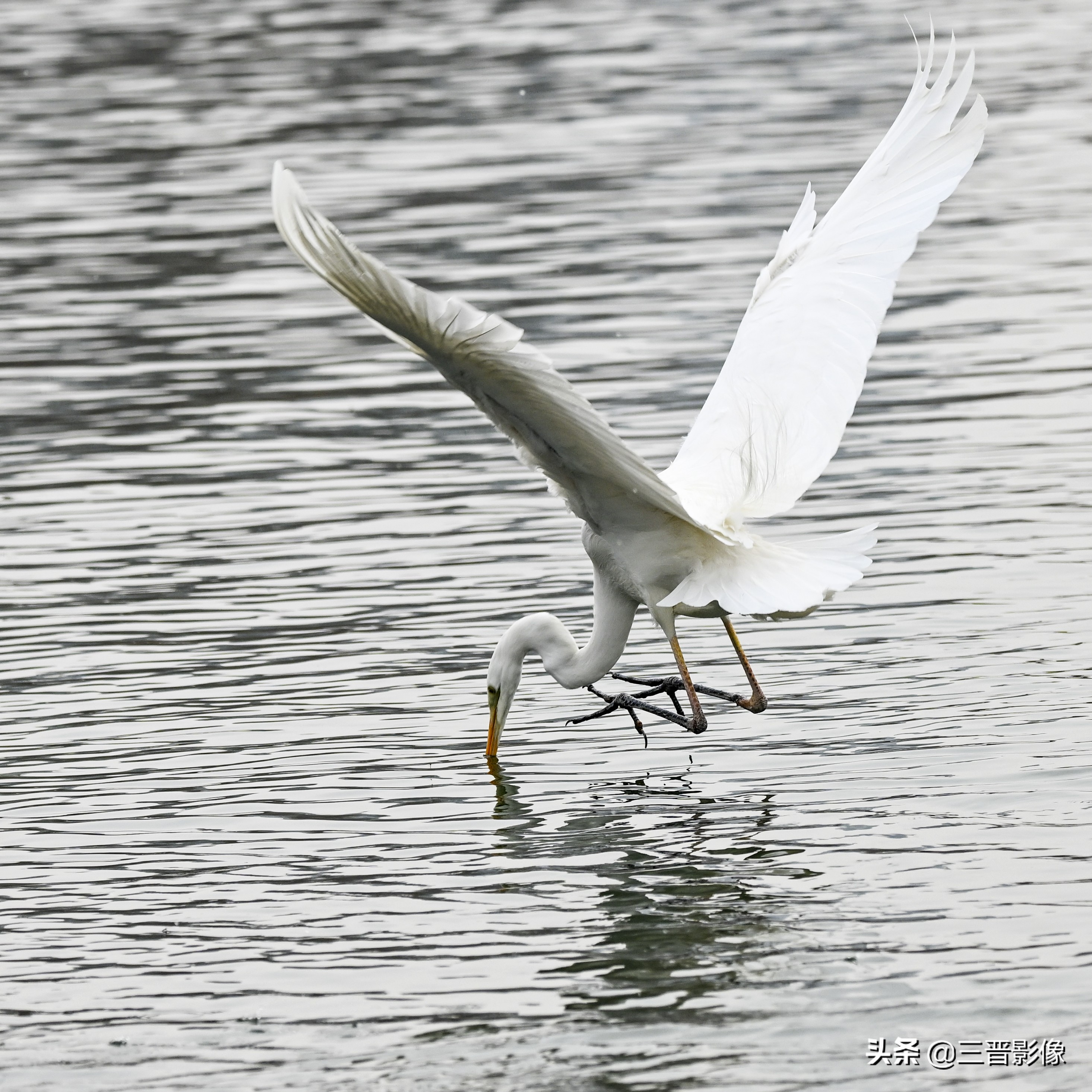 喜欢摄影有必要买相机吗,拍摄时三脚架是必备的器材之一