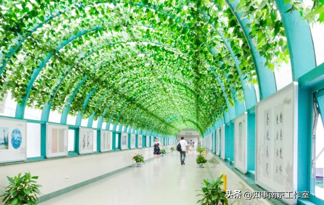 南京市省人民医院是什么档次,江苏省人民医院在南京哪个区