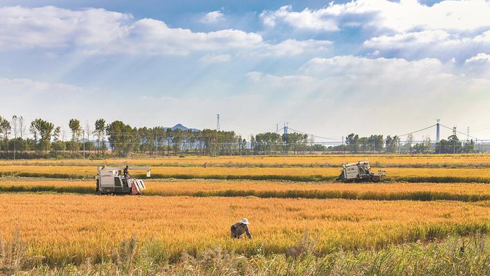 肩扛责任砥砺前行,肩担重任奋力向前