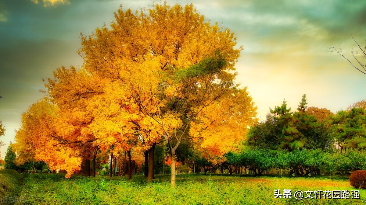 立冬诗词赏析大全,立冬诗词全集100首