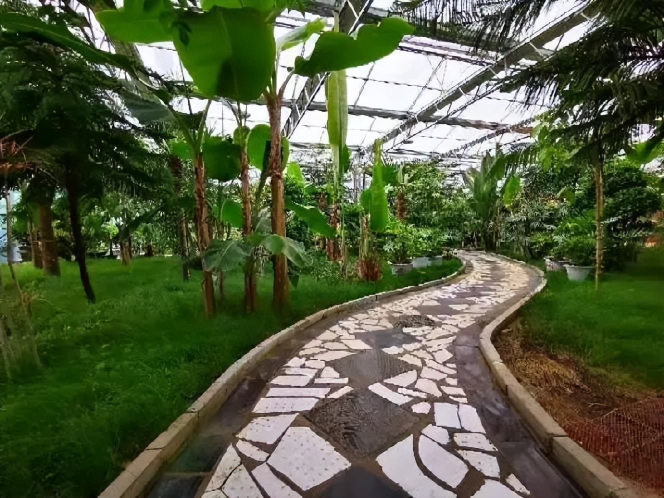 人这一辈子总得来一趟,人这一辈子一定要来日本