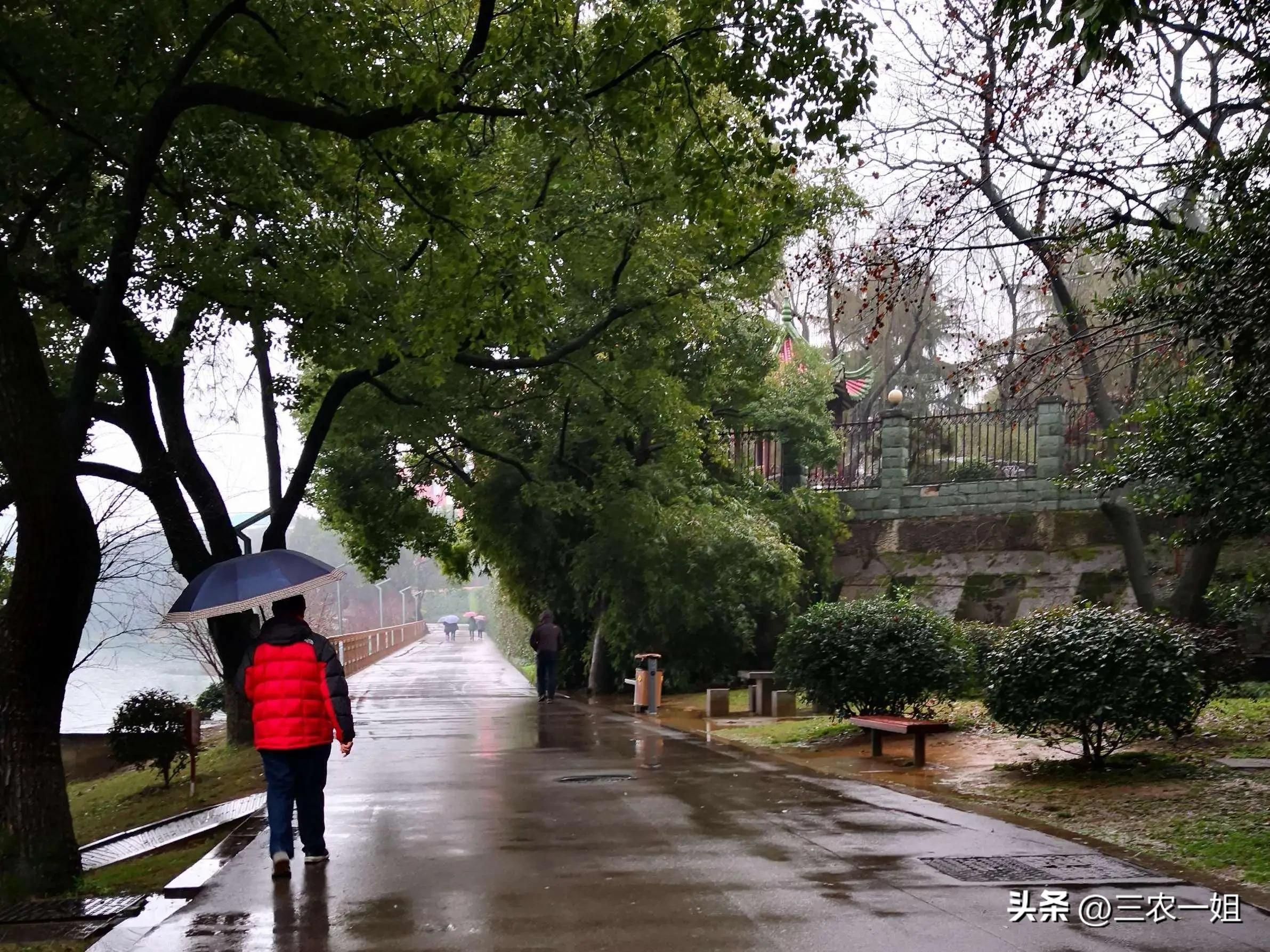 七月十五号以后南方近期暴雨预报,最新天气预报气象台发布暴雨预警
