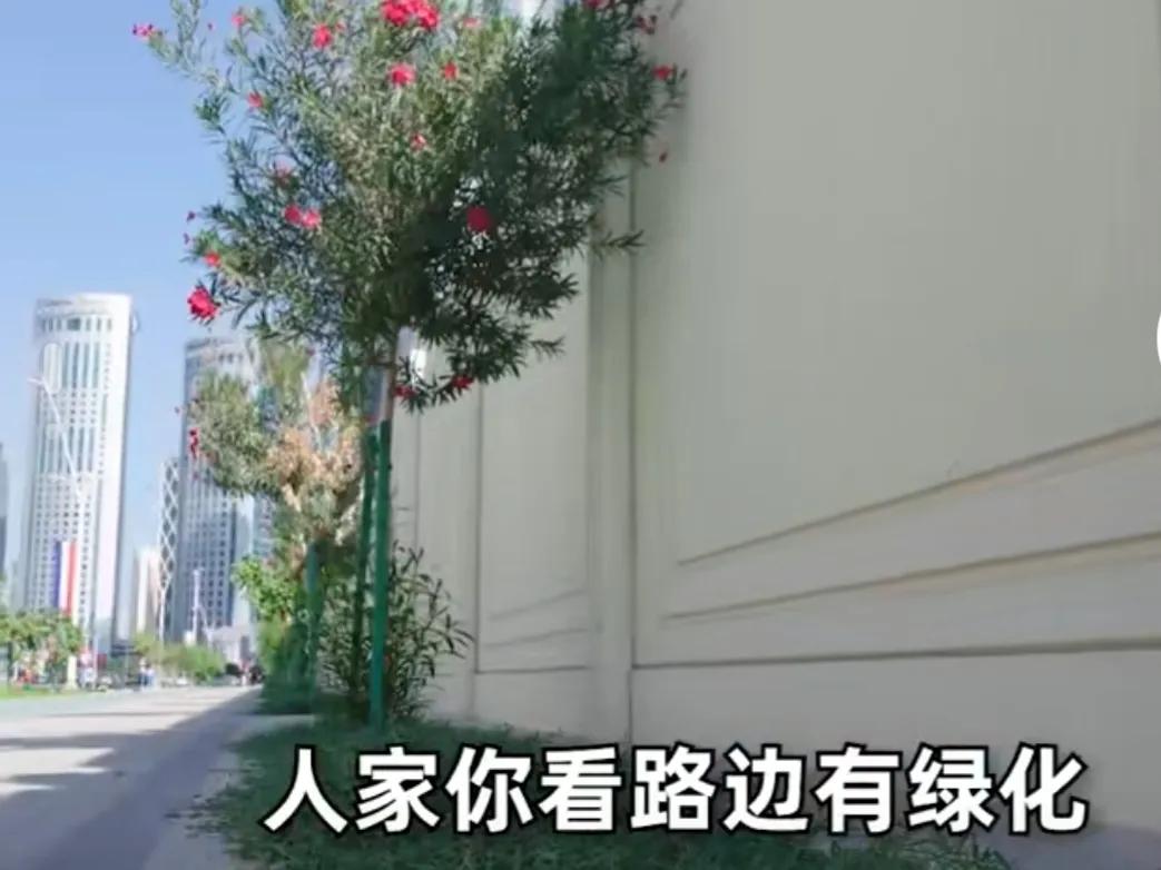 壕无人性的壕,壕无人性的卡塔尔