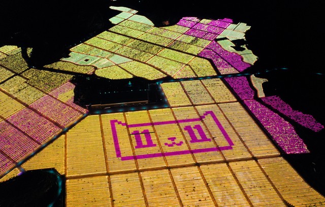 电商进农村农产品增收4000多万,电商正在成为农民增收的新亮点