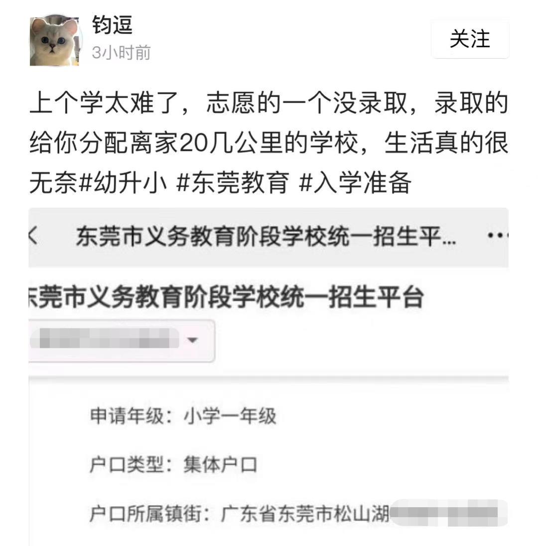 2013东莞幼升中签率,东莞初中中签率