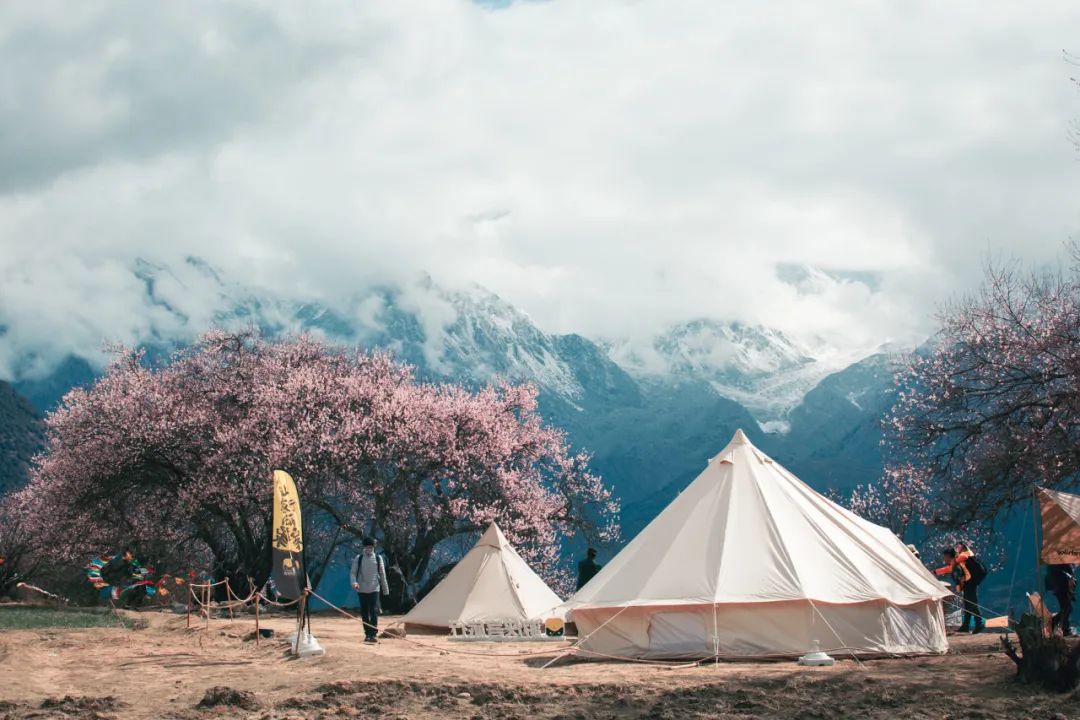 林芝花期预测,林芝桃花最佳观赏时间气温
