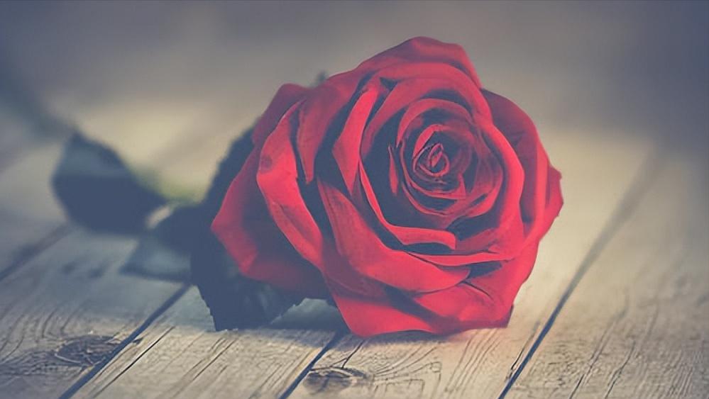 普比和古比内容简介,普比和古比绘本