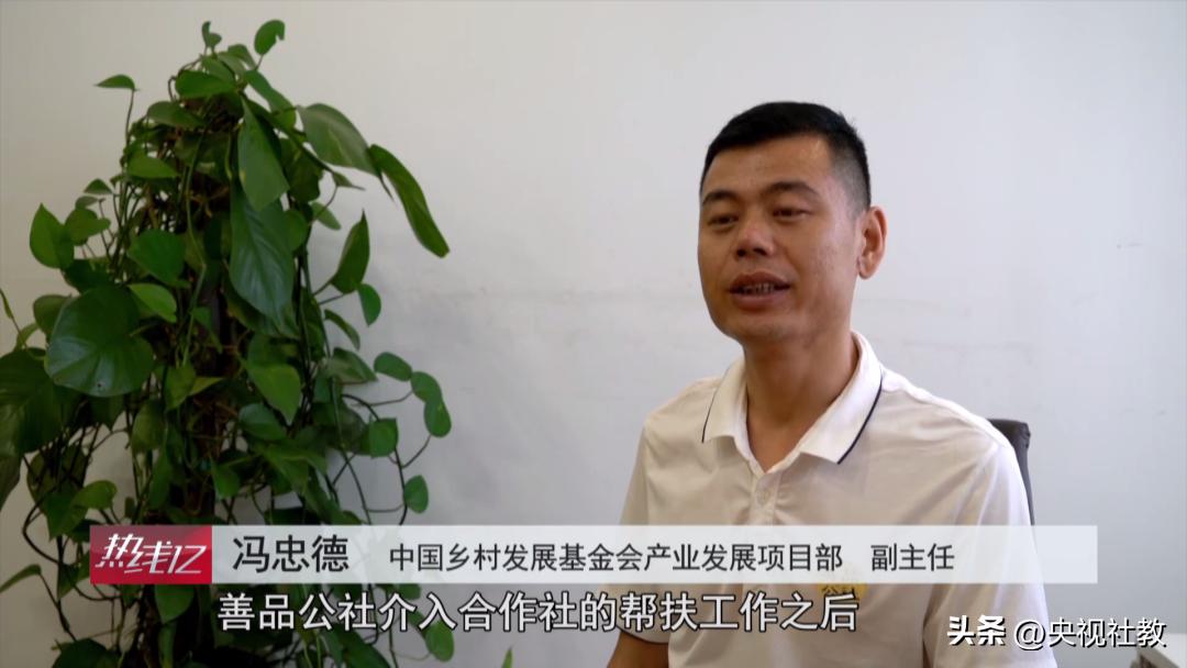 《善行中国2022》丨此处无花胜有花：村里第一位大学生放弃城市工作返乡创业，带领村民种植无花果致富