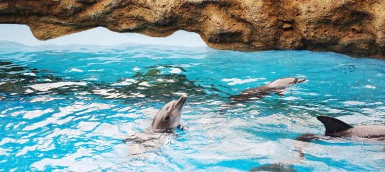 北京门头沟海淀网红打卡地,北京海淀区网红打卡地好吃的